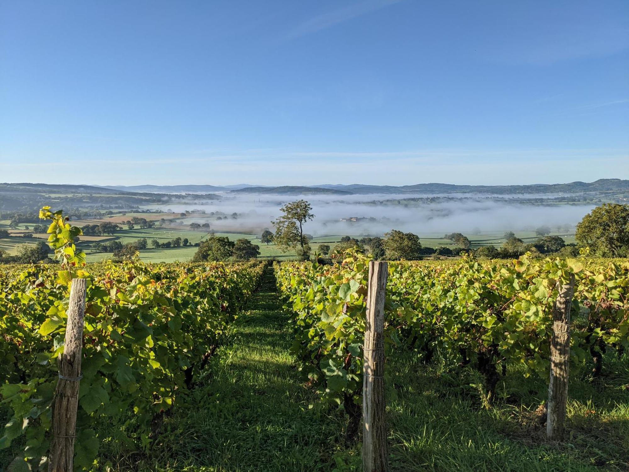 La Terrasse - Old Winemaker'S Cottage In St Gengoux Saint-Gengoux-le-National エクステリア 写真